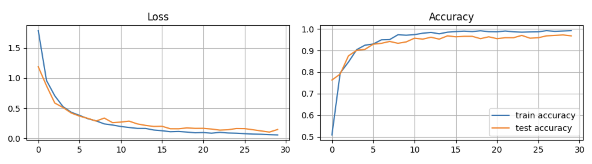Training Metrics